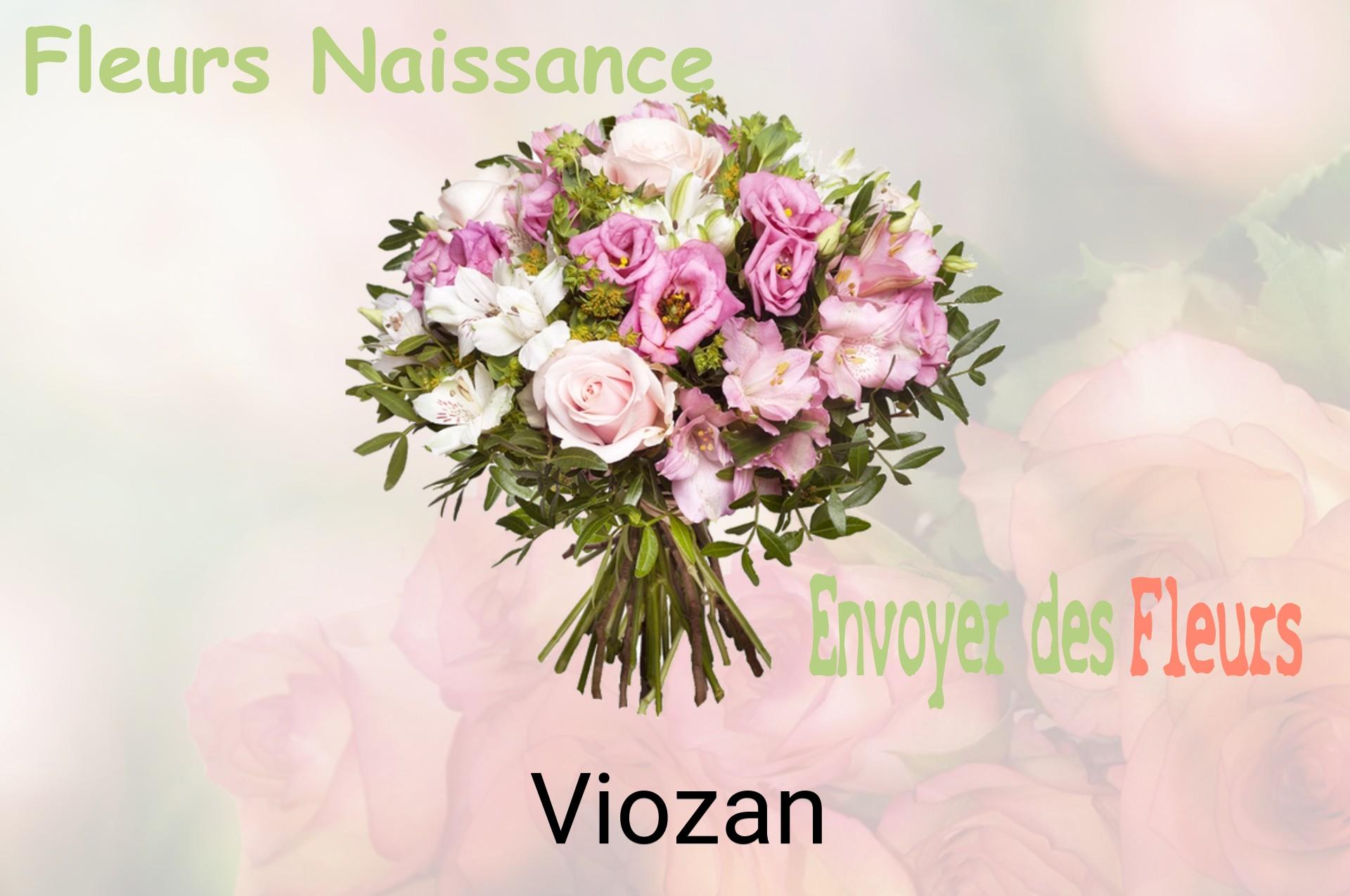 Bouquet de fleurs de naissance livré à Viozan